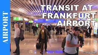 TRANSIT WALK AT FRANKFURT Airport FRA Terminal 1  Connection Flight Transfer Arriving amp Departing [upl. by Madelle]